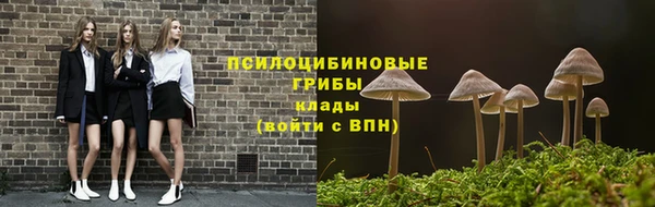 СК Абдулино
