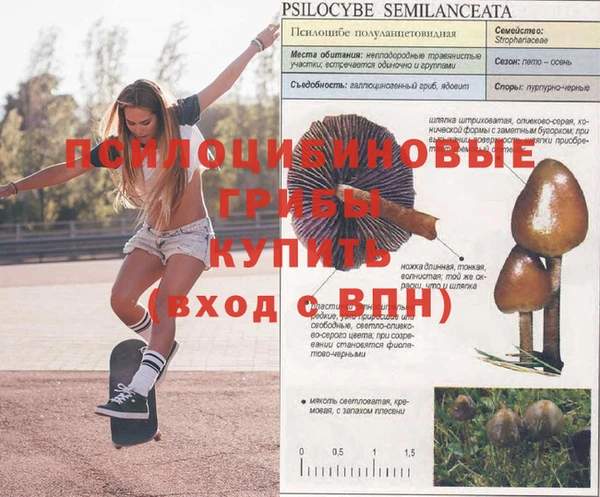гашишное масло Абаза
