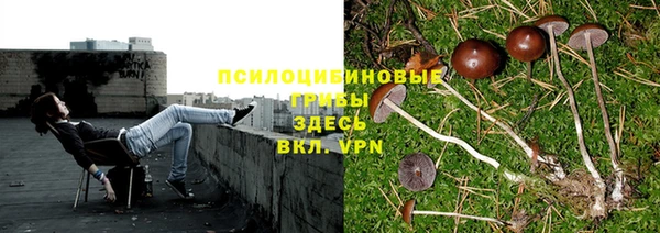 таблы Переславль-Залесский